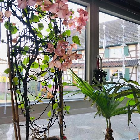 Gries双白鹤旅馆住宿加早餐旅馆 外观 照片