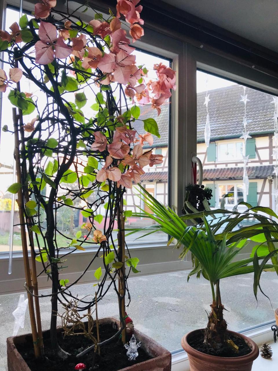 Gries双白鹤旅馆住宿加早餐旅馆 外观 照片