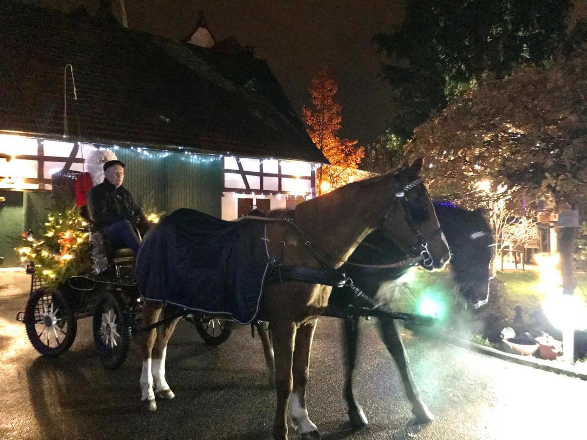 Gries双白鹤旅馆住宿加早餐旅馆 外观 照片